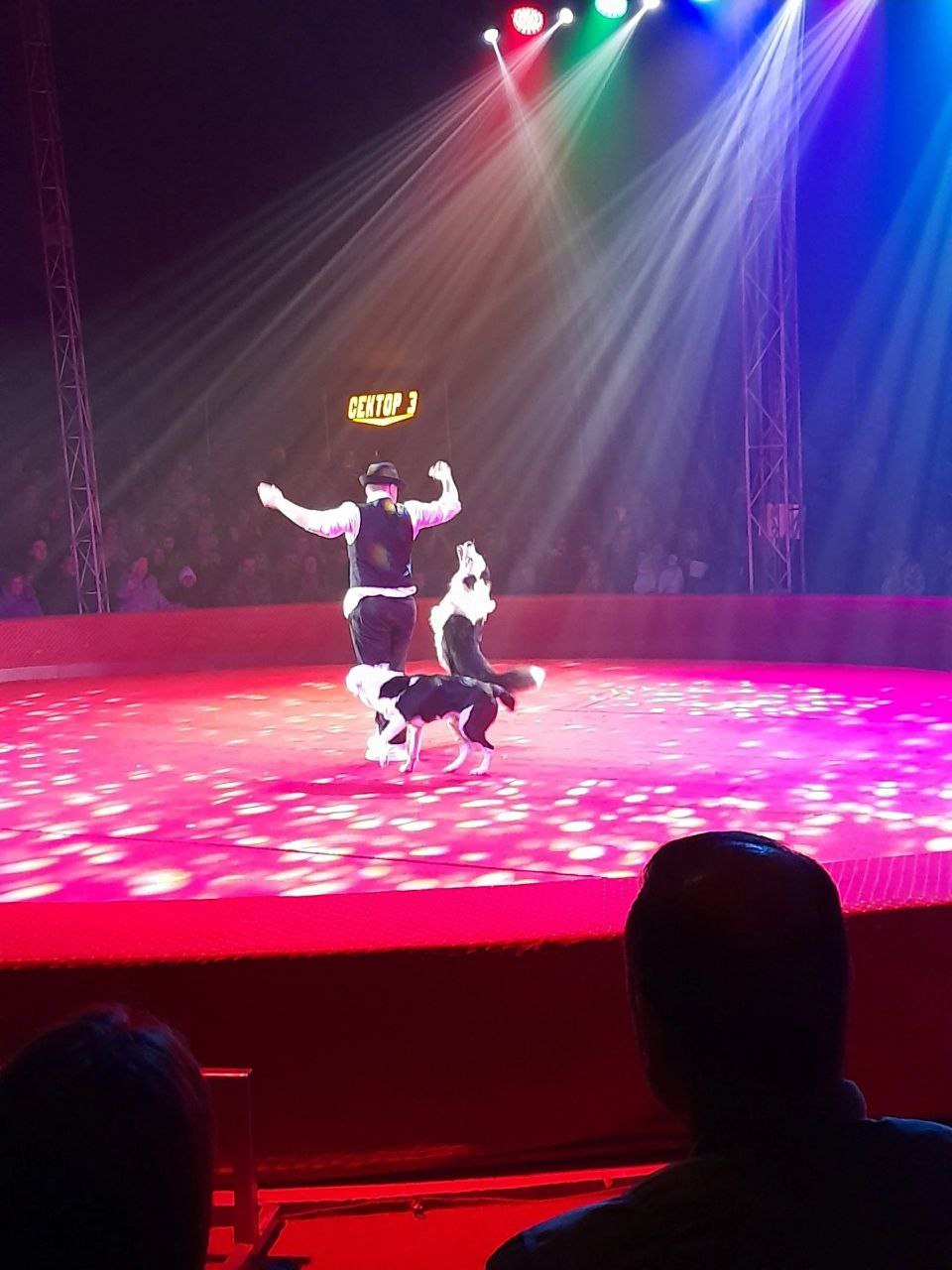 Цирк шапито София г.Владикавказ