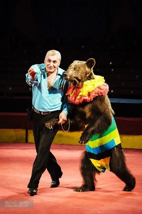 Цирк шапито София г.Владикавказ