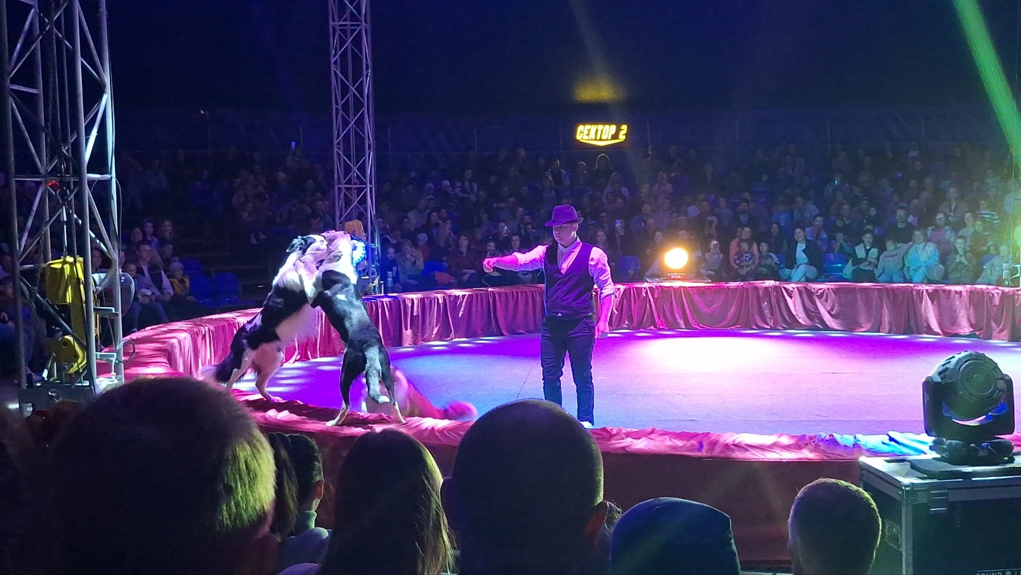 Цирк шапито София г.Владикавказ